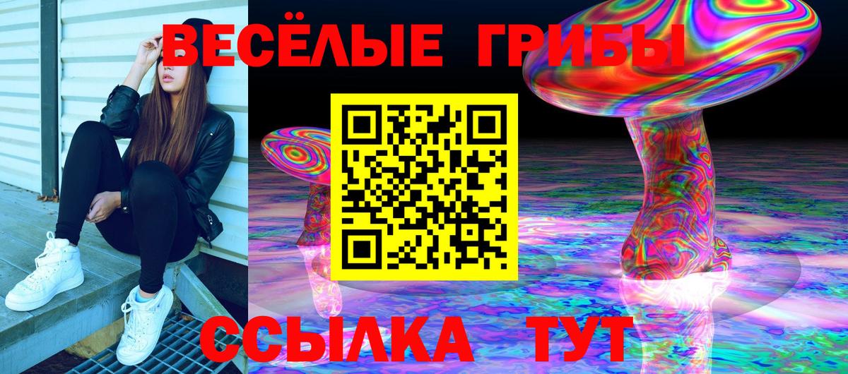 Псилоцибиновые грибы Psilocybine cubensis  Вход с VPN  Губкин 