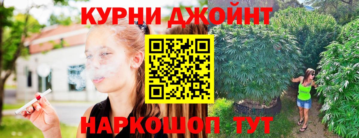 Канабис OG Kush Губкин